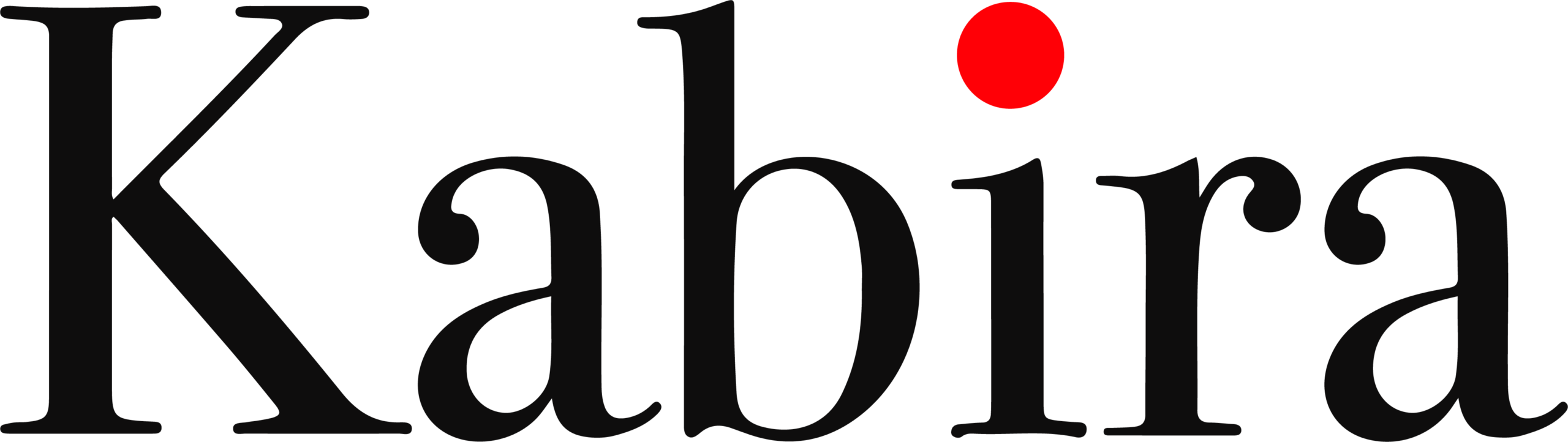 Website Logo
