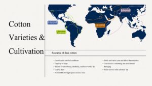 cotton varieties and cultivation