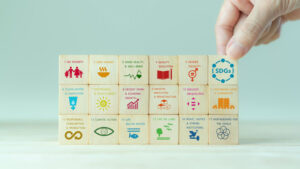 SUSTAINABLE GOALS FOR FASHION