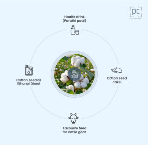 Intercropping and Natural Intelligence